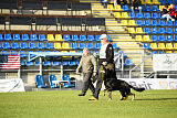 Wilcken Aron