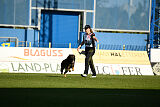 Hesselballe Hugo Junior