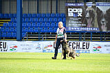 Bataro vom Drachenwolf