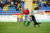T-Lothar vom Hause Meraner