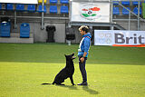 T-Lothar vom Hause Meraner