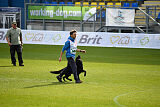 T-Lothar vom Hause Meraner
