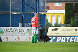 Leo de Jardines del Real