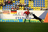 Asko von der Siegermacht