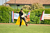 Working-Dog Hilde