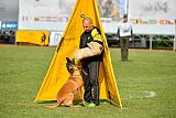 Working-Dog Hilde