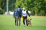 Thorr vom Hause Verda's