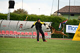 Thorr vom Hause Verda's