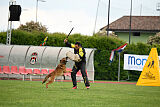 Thorr vom Hause Verda's