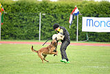 Thorr vom Hause Verda's