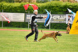 Thorr vom Hause Verda's