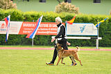 Thorr vom Hause Verda's