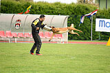 Malisko Sky is the Limit