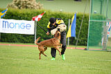 Malisko Sky is the Limit