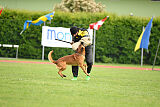 Malisko Sky is the Limit