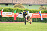 Parendo Vinces Fortunae Filius