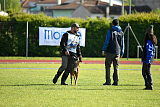 Urbancanines Hunter