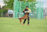 Urbancanines Hunter