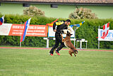 Urbancanines Hunter