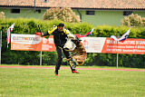 Desmond Murat