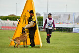 Fula Clever Fox