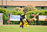Perfect Rocket de la Rouquine