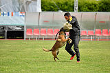 Tito Running Wild