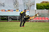 Tito Running Wild