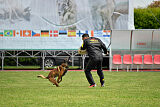 Tito Running Wild