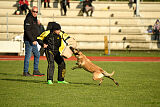 Vip dei Ghermanti