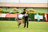 Magneslias Delta Force