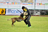 Beky Argi-Slovakia