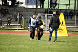 Tyrannens Galna Grymma