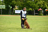 Avonwolf Gunnar