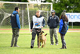 Avonwolf Gunnar