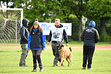 Avonwolf Gunnar