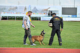 Avonwolf Gunnar