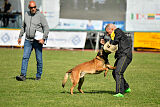 Avonwolf Gunnar