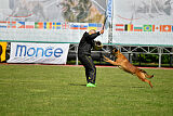 Avonwolf Gunnar