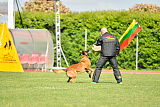 Avonwolf Gunnar