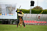 Rustix Taranis