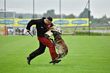 Aslan vom Sudwalder Forst