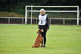 Calito vom Kylltalblick