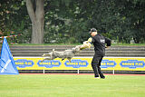 Hasenhirsch Gustl