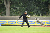 Hasenhirsch Gustl
