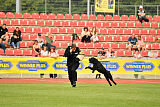 Barrac of Giant Black Hawks