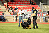 Varro von der Jagsthöhe