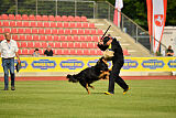 Varro von der Jagsthöhe