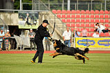 Varro von der Jagsthöhe