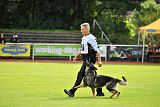 Chapa vom Drachenwolf